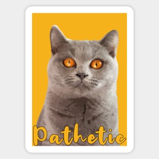 british shorthair with wide copper gold eyes saying pathetic Sticker